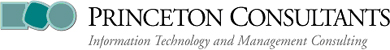 Princeton Consultants: Information Technology and Management Consulting