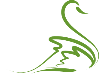 swan_isolated